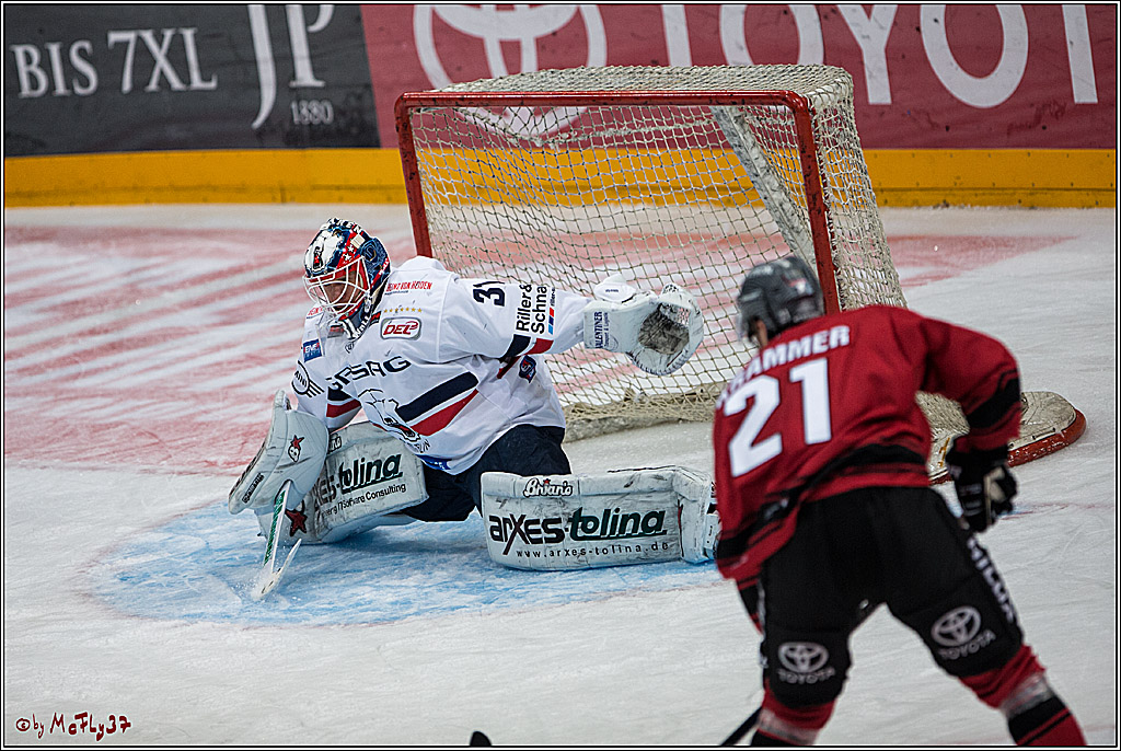 DEL, Koelner Haie - Eisbaeren Berlin, 12.02.2017